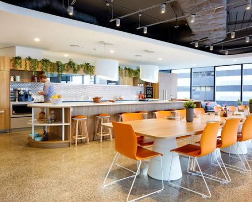 WhatsApp Image 2025-12-19 at 10.05.43 AM (1)