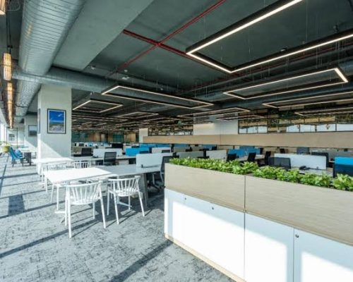 WhatsApp Image 2025-12-19 at 10.06.21 AM (3)